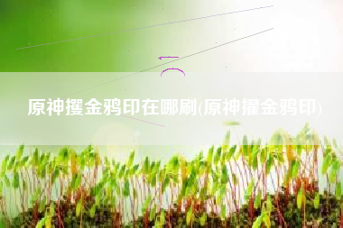 原神攫金鸦印在哪刷(原神擢金鸦印)