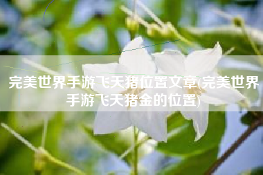 完美世界手游飞天猪位置文章(完美世界手游飞天猪金的位置)