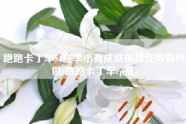 跑跑卡丁车S4赛季小有成就挑战任务如何做(跑跑卡丁车cp赛)