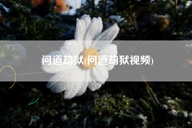 问道劫狱(问道劫狱视频)
