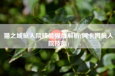 猫之城疯人院技能强度解析(阿卡姆疯人院技能)