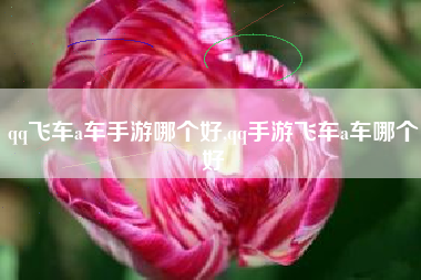 qq飞车a车手游哪个好,qq手游飞车a车哪个好