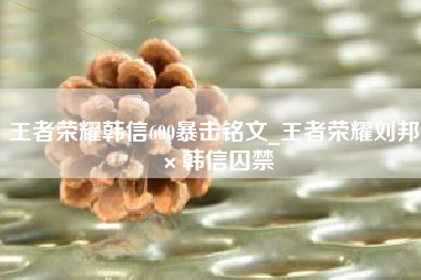 王者荣耀韩信600暴击铭文_王者荣耀刘邦×韩信囚禁