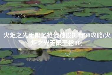 火炬之光无限圣枪侵蚀投掷毒BD攻略(火炬之光无限圣枪BD)