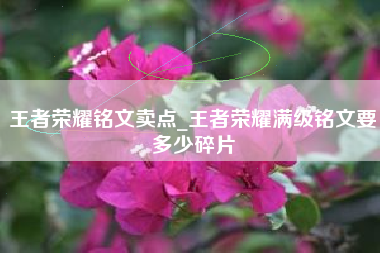 王者荣耀铭文卖点_王者荣耀满级铭文要多少碎片