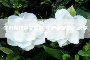 王者荣耀铭文限时_王者荣耀限时5级铭文