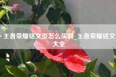 王者荣耀铭文页怎么买啊_王者荣耀铭文大全