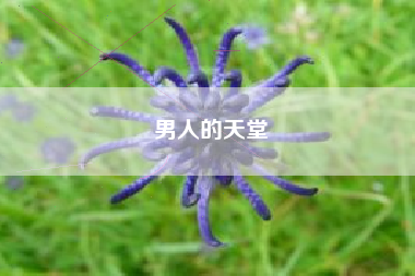 男人的天堂
