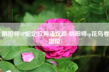 阴阳师SP蛇定位用法攻略(阴阳师sp花鸟卷定位)