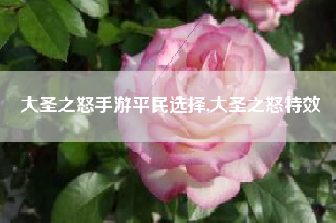 大圣之怒手游平民选择,大圣之怒特效