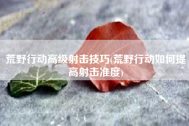 荒野行动高级射击技巧(荒野行动如何提高射击准度)