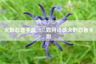 火影忍者手游  377,如何评价火影忍者手游