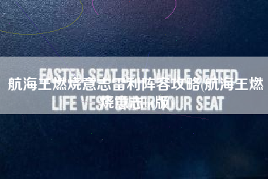 航海王燃烧意志雷利阵容攻略(航海王燃烧意志bt版)