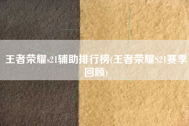 王者荣耀s21辅助排行榜(王者荣耀S21赛季回顾)
