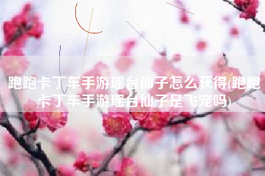 跑跑卡丁车手游瑶台仙子怎么获得(跑跑卡丁车手游瑶台仙子是飞宠吗)