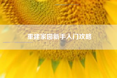 重建家园新手入门攻略
