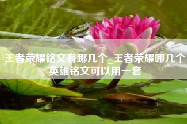王者荣耀铭文有哪几个_王者荣耀哪几个英雄铭文可以用一套