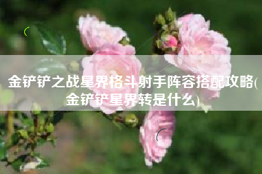 金铲铲之战星界格斗射手阵容搭配攻略(金铲铲星界转是什么)