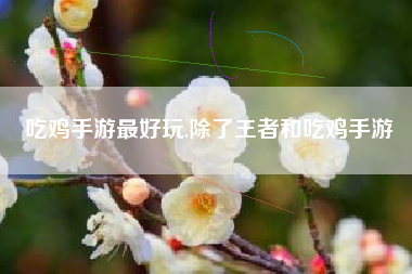 吃鸡手游最好玩,除了王者和吃鸡手游