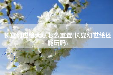 长安幻世绘天赋怎么重置(长安幻世绘还能玩吗)