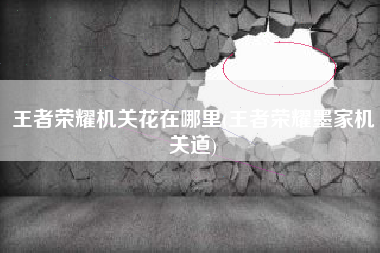 王者荣耀机关花在哪里(王者荣耀墨家机关道)
