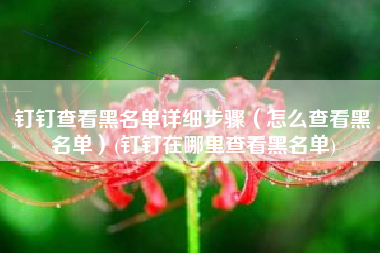钉钉查看黑名单详细步骤（怎么查看黑名单）(钉钉在哪里查看黑名单)
