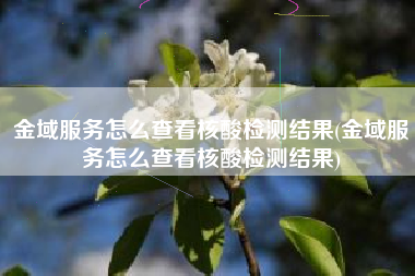 金域服务怎么查看核酸检测结果(金域服务怎么查看核酸检测结果)
