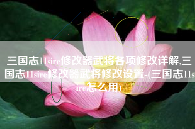 三国志11sire修改器武将各项修改详解,三国志11sire修改器武将修改设置-(三国志11sire怎么用)