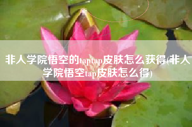 非人学院悟空的taptap皮肤怎么获得(非人学院悟空tap皮肤怎么得)