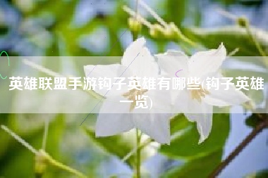 英雄联盟手游钩子英雄有哪些(钩子英雄一览)