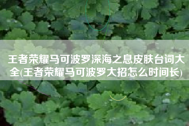 王者荣耀马可波罗深海之息皮肤台词大全(王者荣耀马可波罗大招怎么时间长)