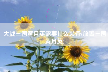 大战三国黄月英需要什么装备(放置三国黄月英)