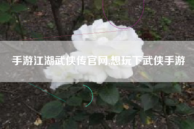 手游江湖武侠传官网,想玩下武侠手游