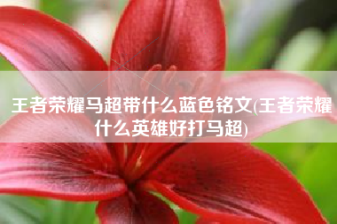 王者荣耀马超带什么蓝色铭文(王者荣耀什么英雄好打马超)