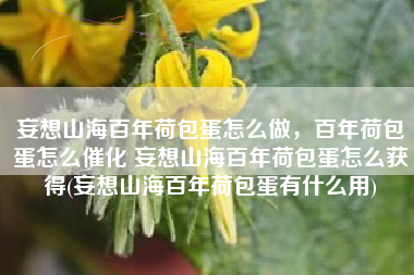妄想山海百年荷包蛋怎么做，百年荷包蛋怎么催化 妄想山海百年荷包蛋怎么获得(妄想山海百年荷包蛋有什么用)
