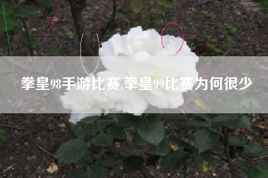 拳皇98手游比赛,拳皇99比赛为何很少