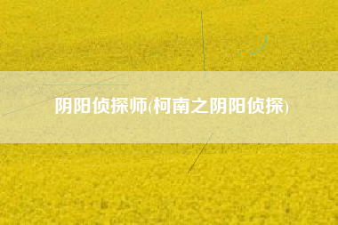 阴阳侦探师(柯南之阴阳侦探)