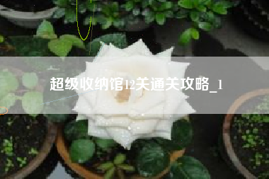 超级收纳馆12关通关攻略_1