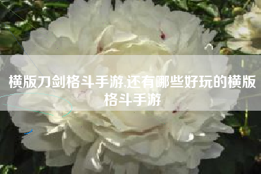 横版刀剑格斗手游,还有哪些好玩的横版格斗手游