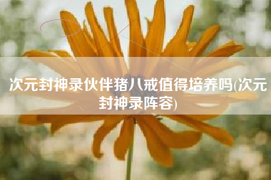 次元封神录伙伴猪八戒值得培养吗(次元封神录阵容)