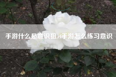 手游什么是意识狙,cf手游怎么练习意识