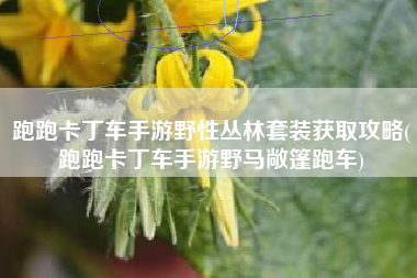 跑跑卡丁车手游野性丛林套装获取攻略(跑跑卡丁车手游野马敞篷跑车)