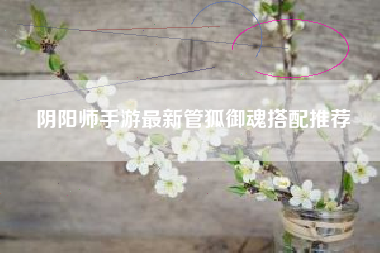 阴阳师手游最新管狐御魂搭配推荐