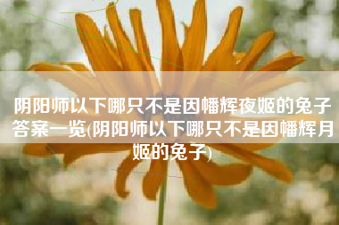 阴阳师以下哪只不是因幡辉夜姬的兔子答案一览(阴阳师以下哪只不是因幡辉月姬的兔子)