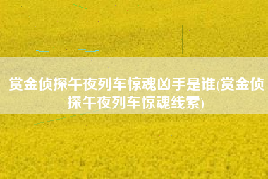 赏金侦探午夜列车惊魂凶手是谁(赏金侦探午夜列车惊魂线索)