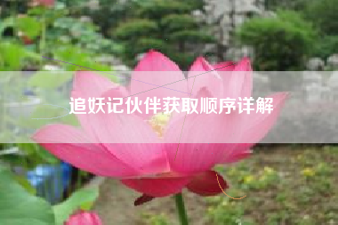 追妖记伙伴获取顺序详解