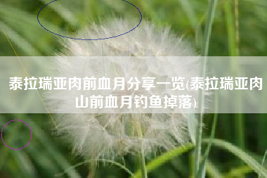 泰拉瑞亚肉前血月分享一览(泰拉瑞亚肉山前血月钓鱼掉落)