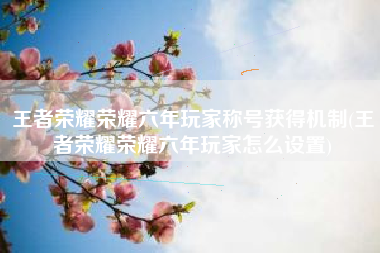 王者荣耀荣耀六年玩家称号获得机制(王者荣耀荣耀六年玩家怎么设置)