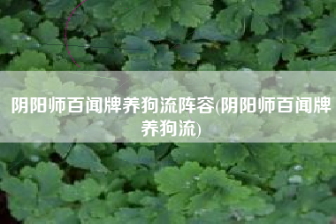 阴阳师百闻牌养狗流阵容(阴阳师百闻牌养狗流)