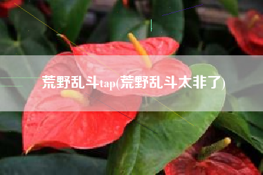 荒野乱斗tap(荒野乱斗太非了)